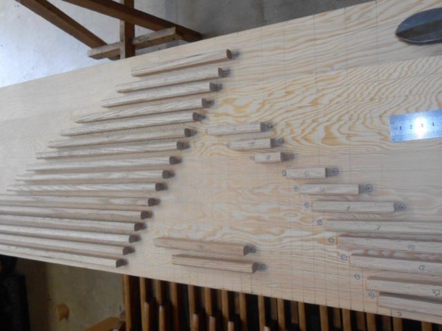 photo19.jpg