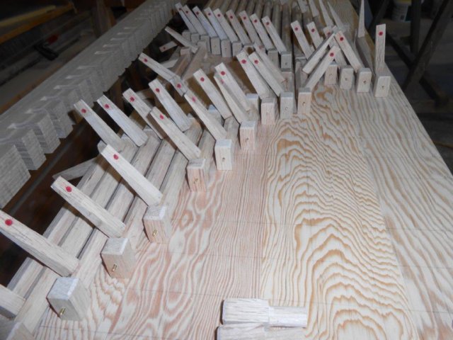 photo21.jpg