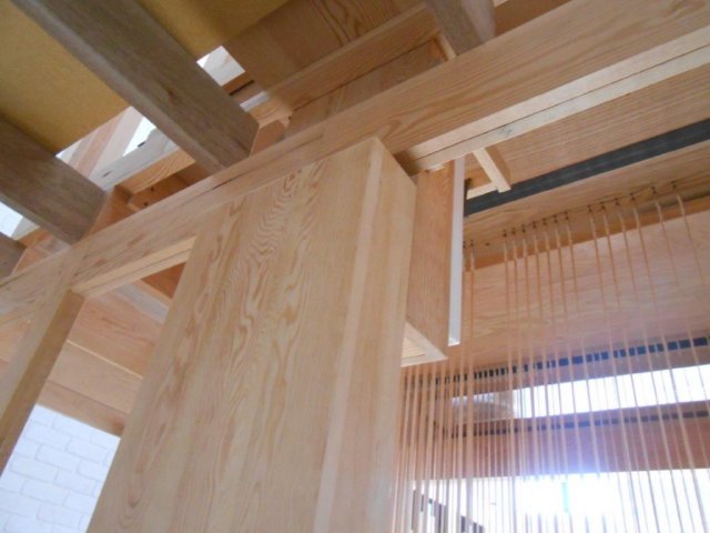 photo41.jpg